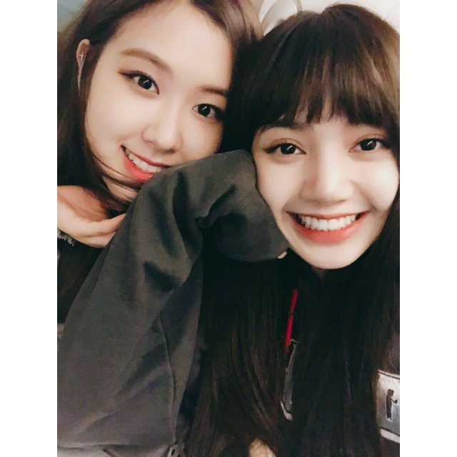 lisa和jennie头像,jennie和lisa头像 blackpink粉墨 ros(朴彩英),lisa, jisoo(金智秀),jennie(金珍妮)