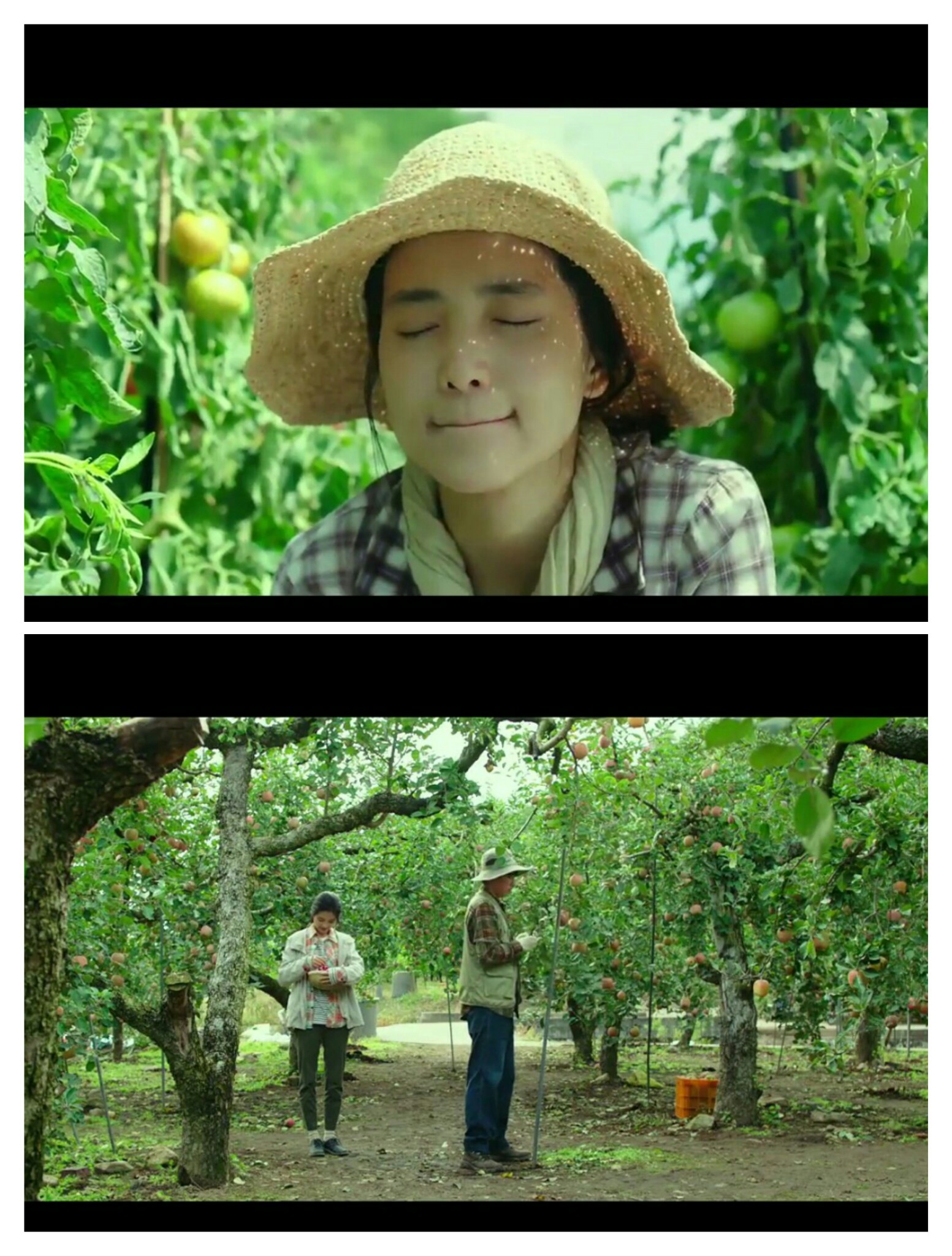 韩版《小森林》