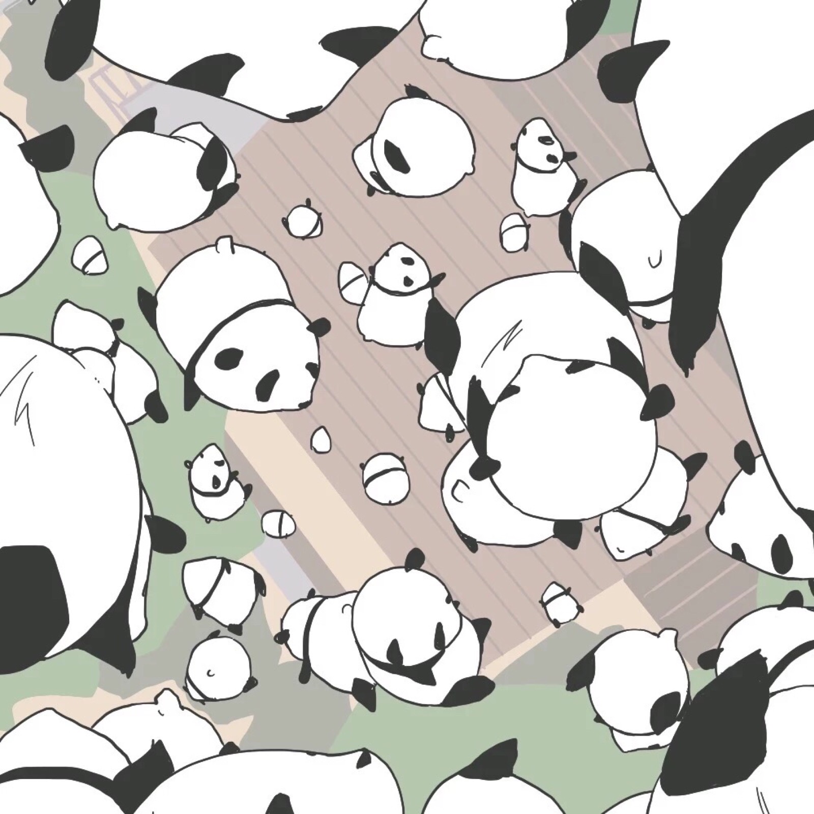 熊猫