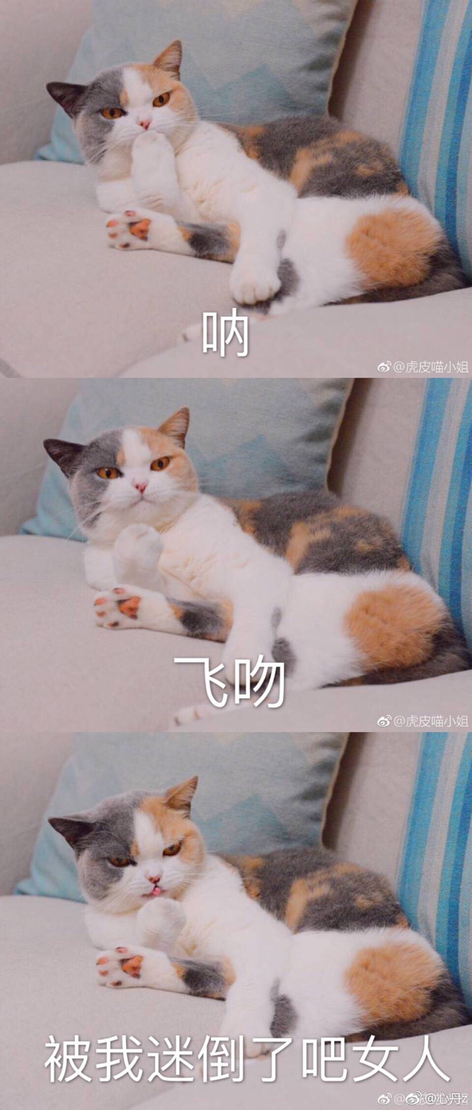 飞吻表情包微信 浪漫图片