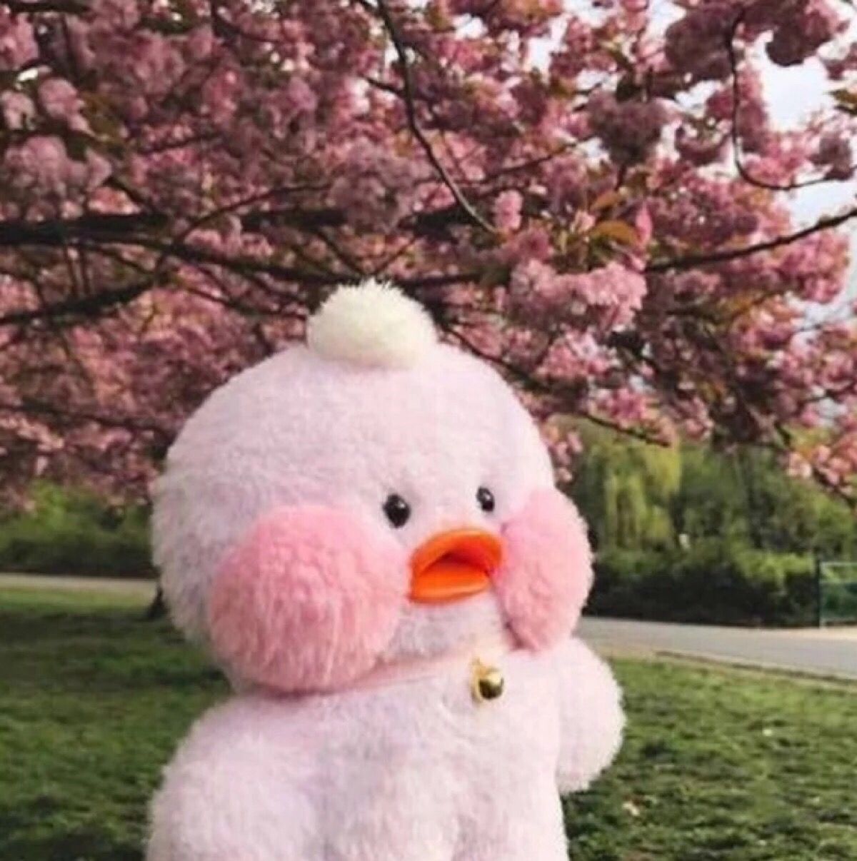 玻尿酸鸭表情包