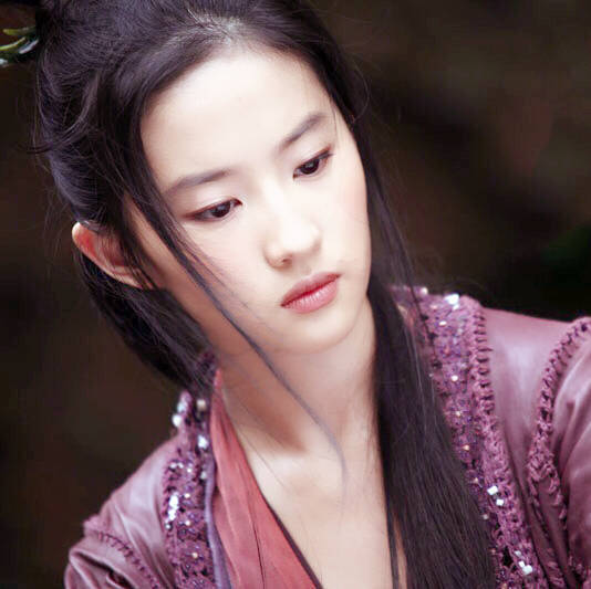 刘亦菲 金燕子 2008电影《功夫之王》