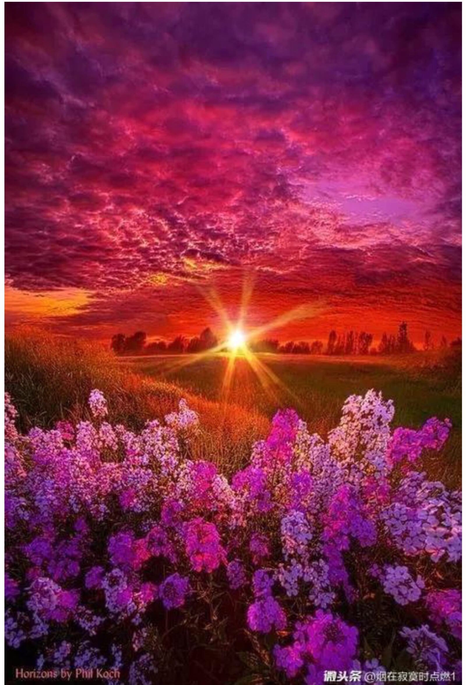 最美不过夕阳红