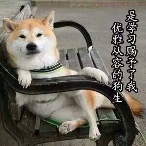 学习表情包