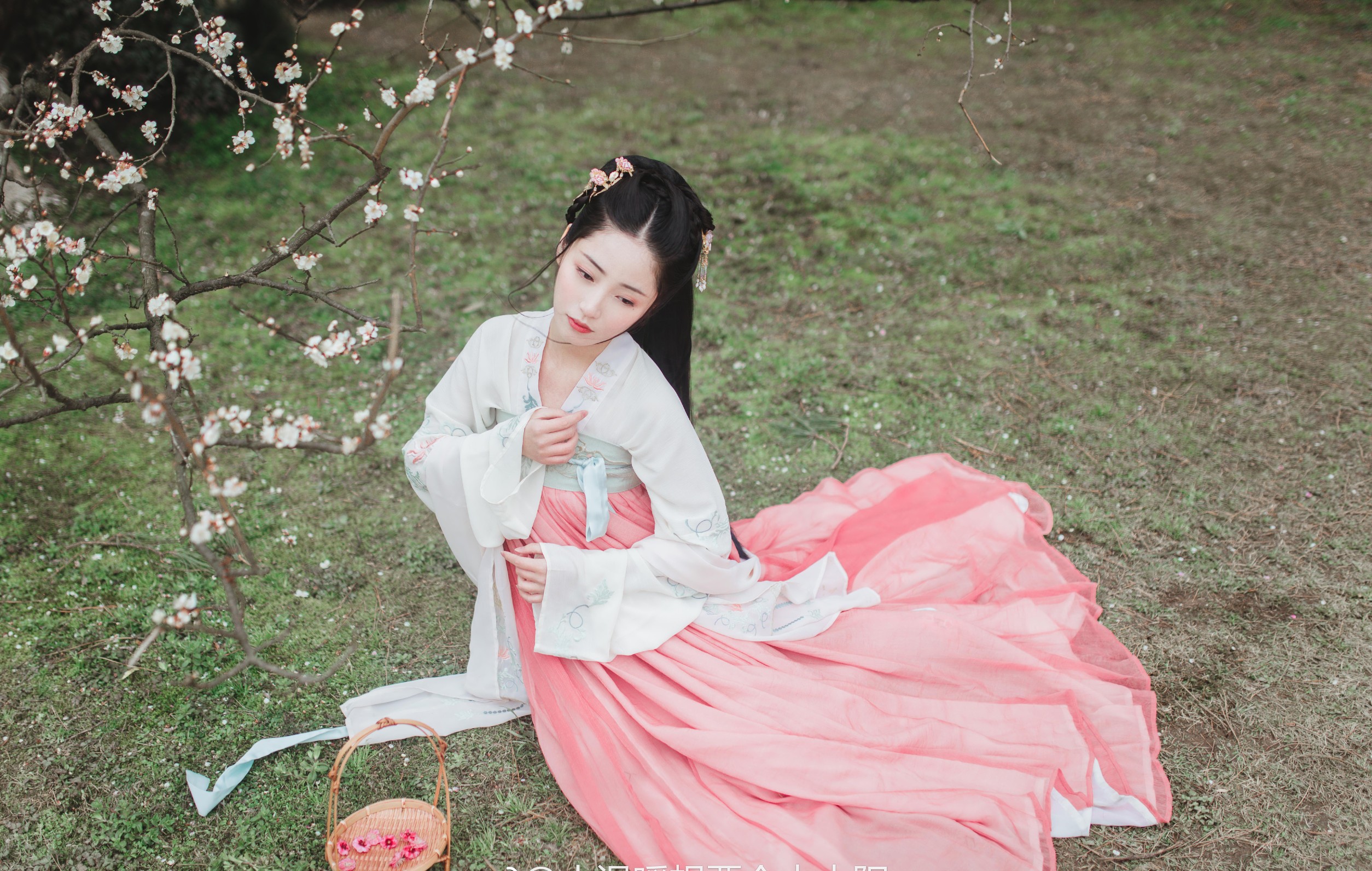 美人如画
