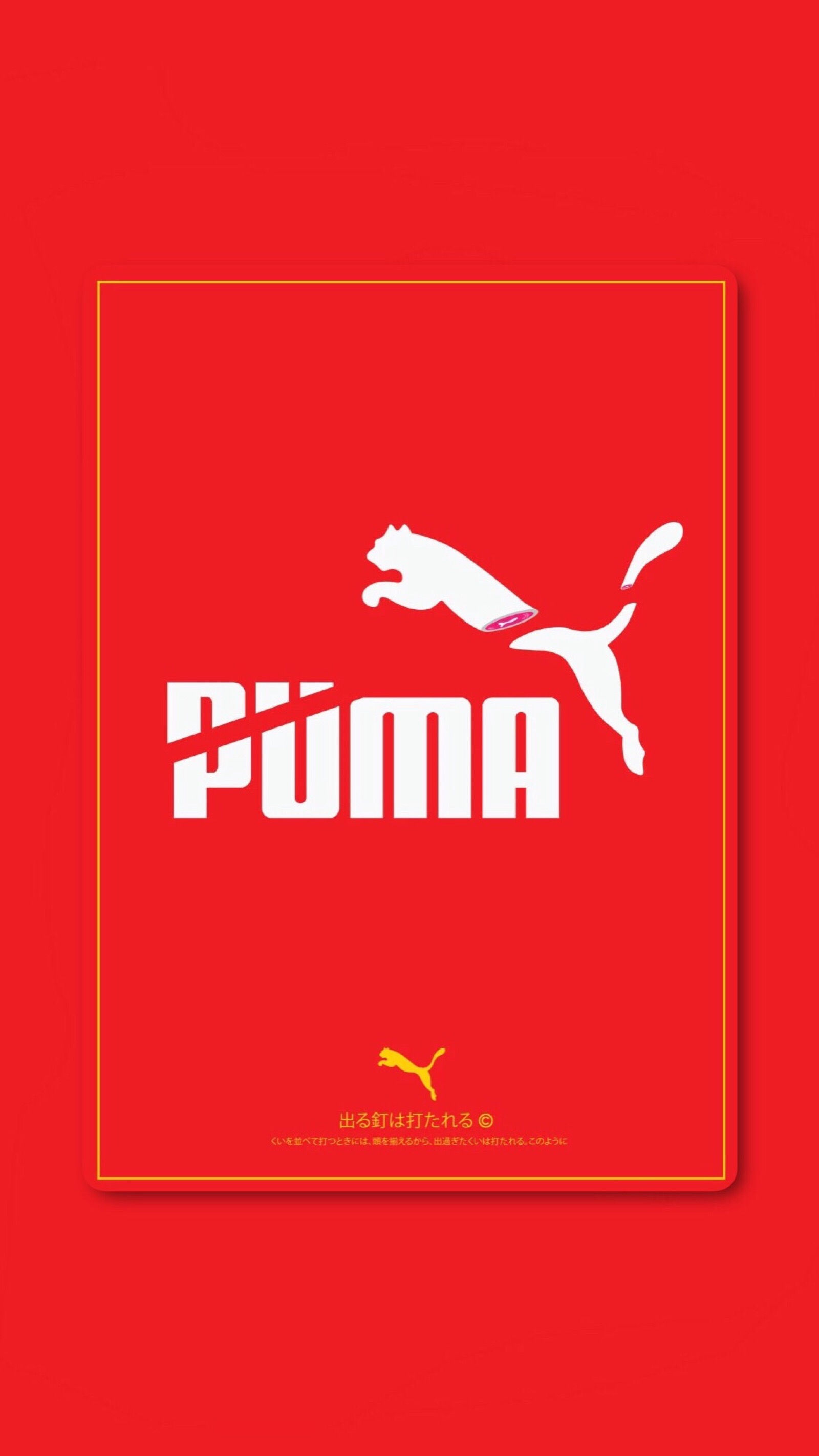 pidan|puma