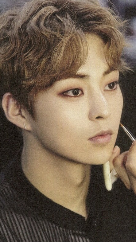 xiumin 金珉锡