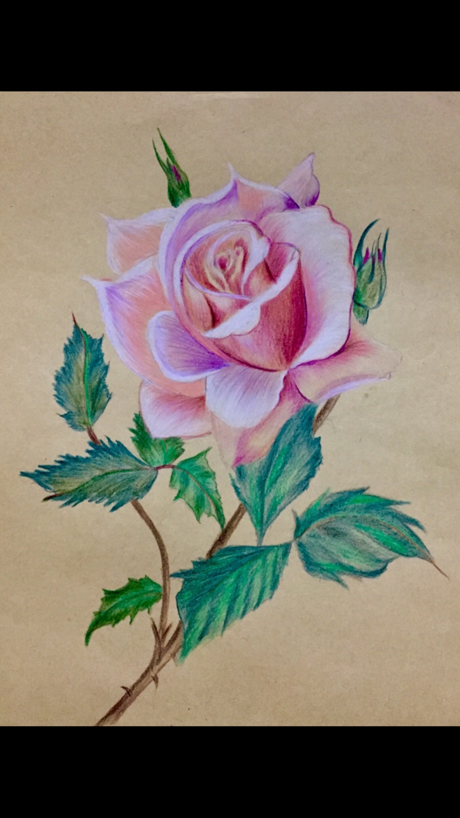 国画大师玫瑰花的画法图片