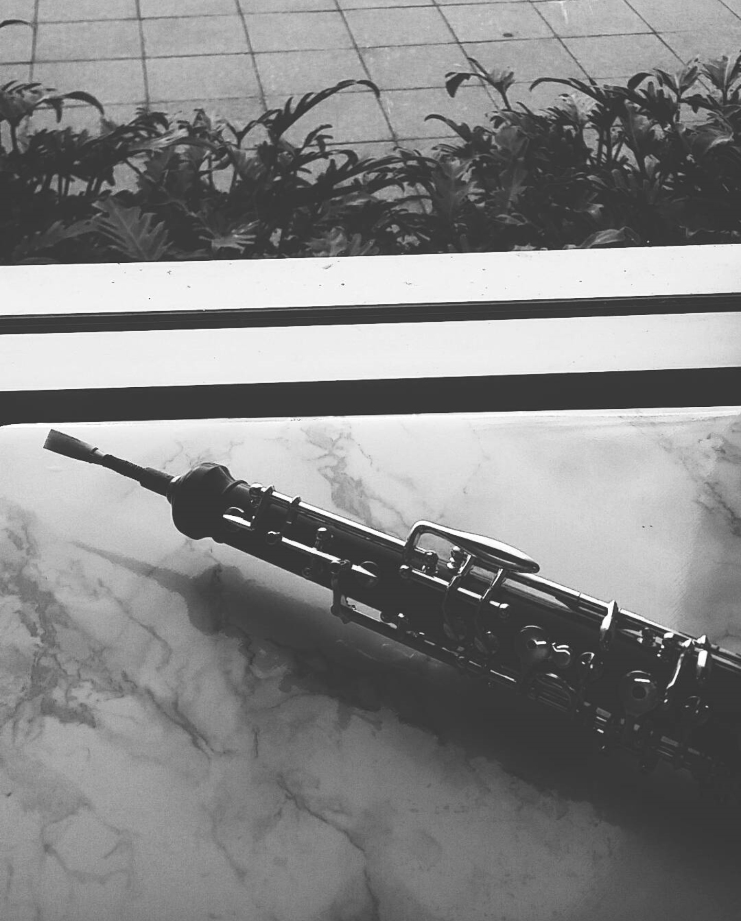 oboe