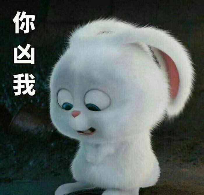 爱宠大表情兔子机密创意的搞笑图片流口水图片