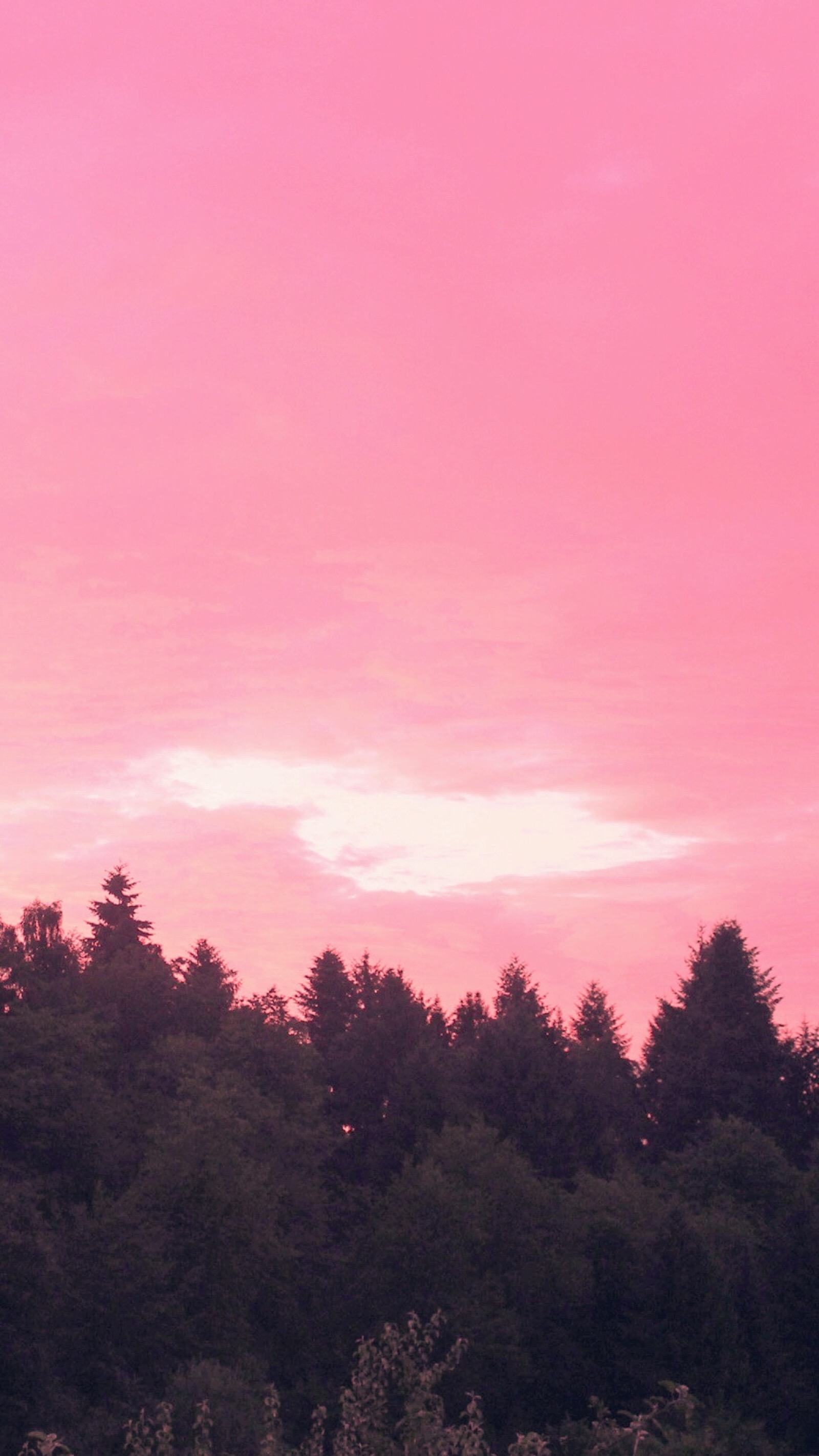 傍晚粉色天空图片