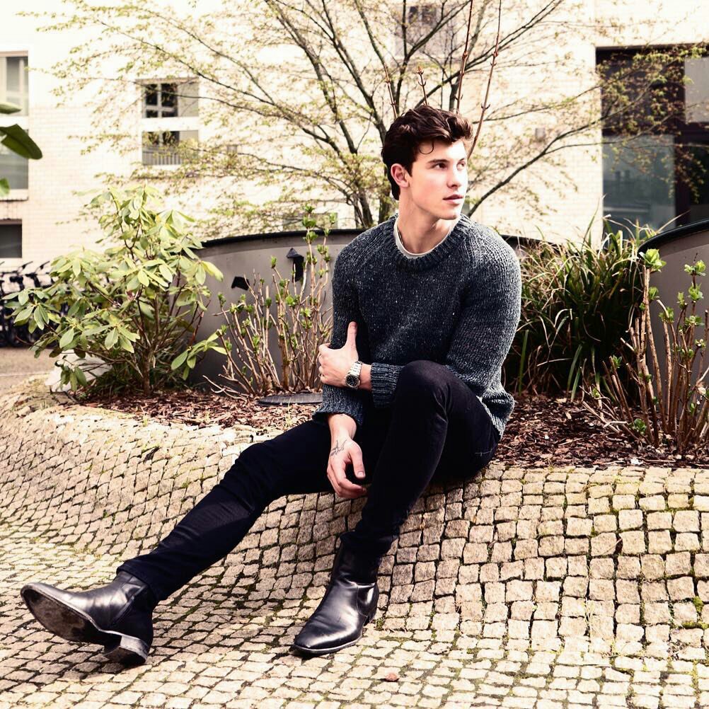 shawn mendes