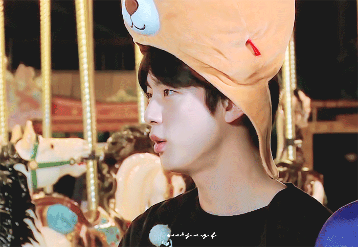 jin 金硕珍 bts 防弹少年团 run bts 柴犬阿珍