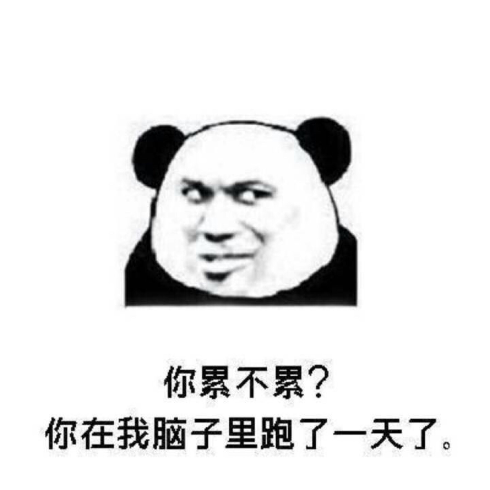 你累不累?你在我脑子里跑了一天了.