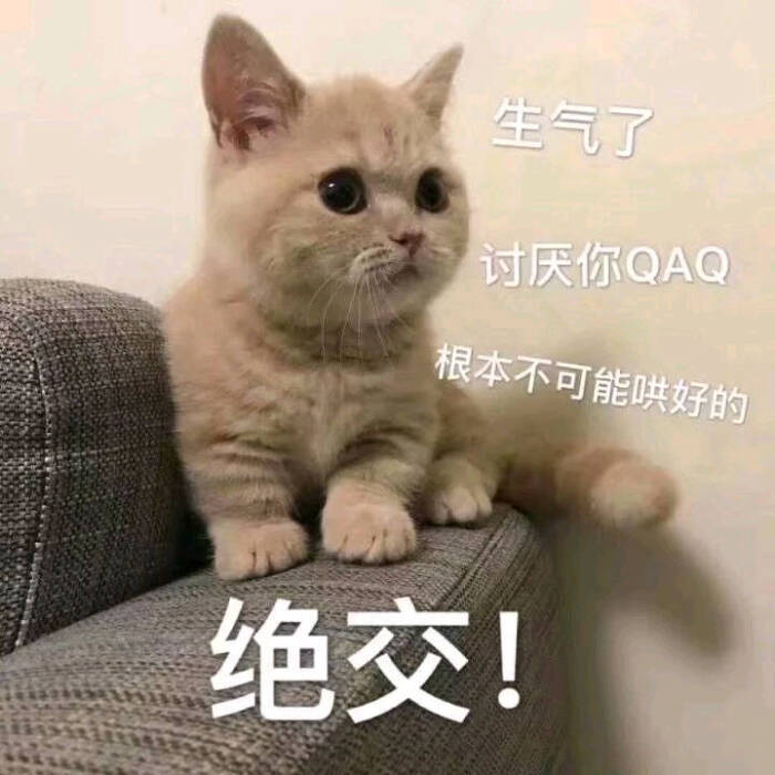 图片【讨厌了,不可你QAQ,表情生气哄好的表情包的生意兴隆根本图片