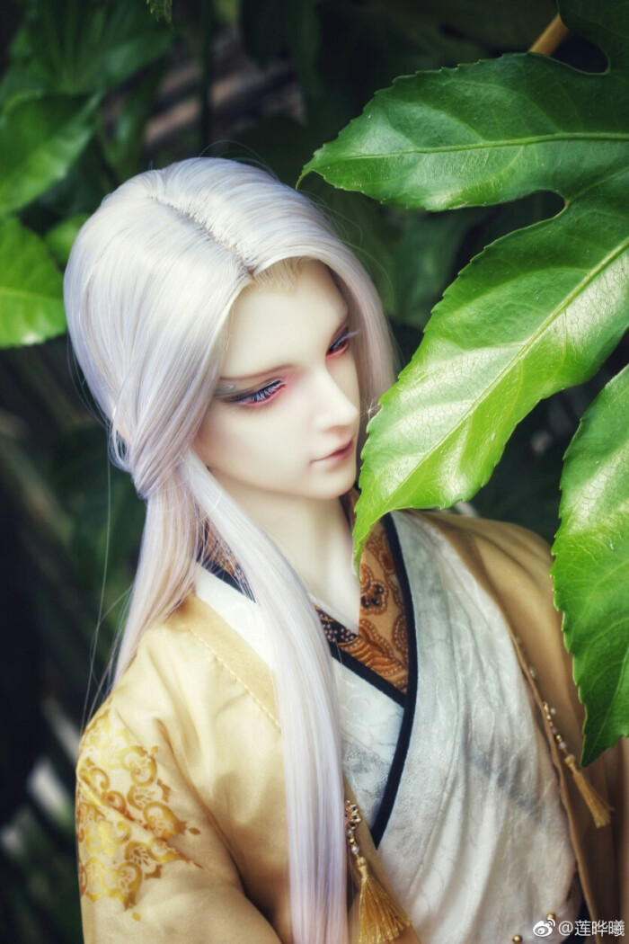 古风美男 sd娃娃 bjd 玩具 人偶 壁纸 萌物