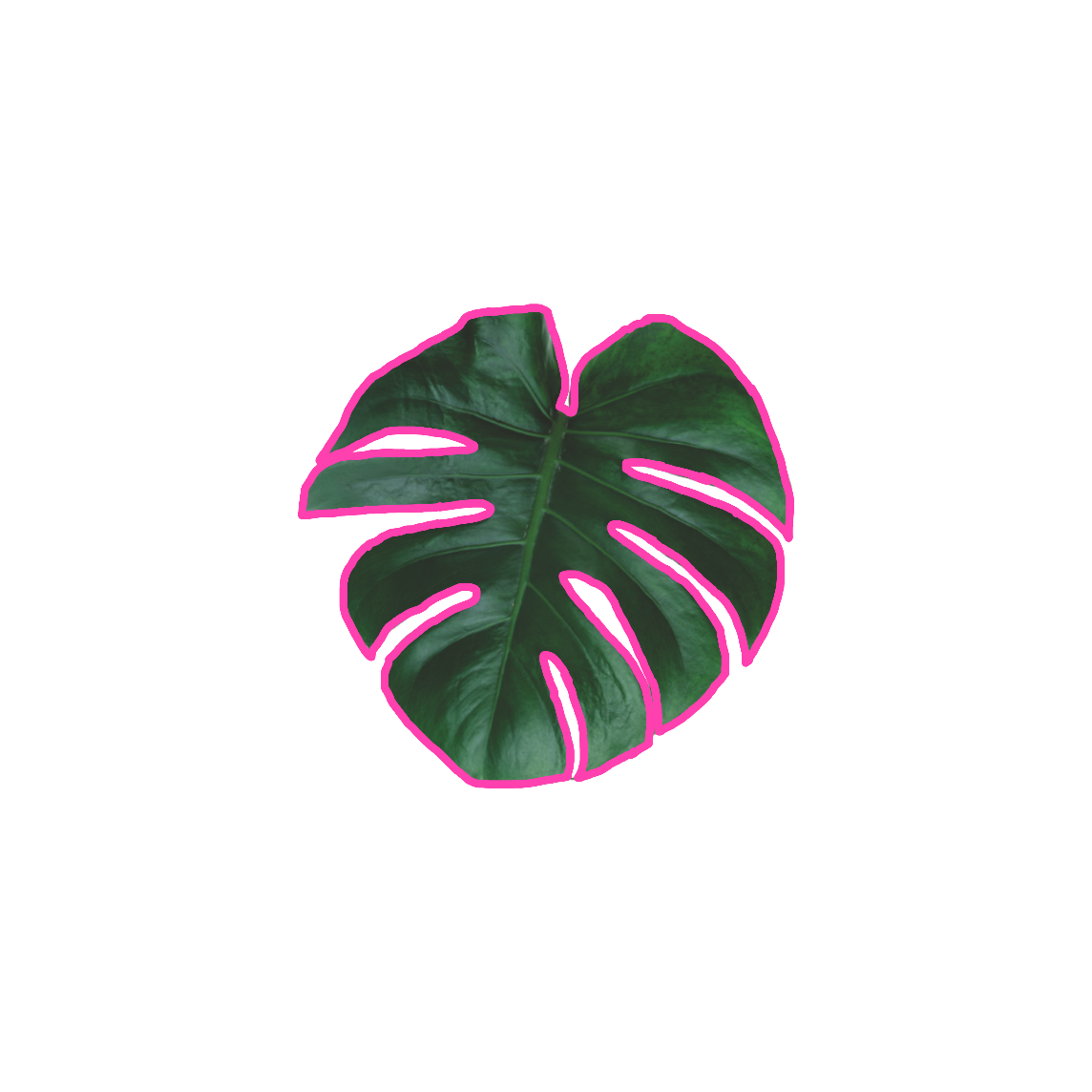 扣图素材 透明贴纸