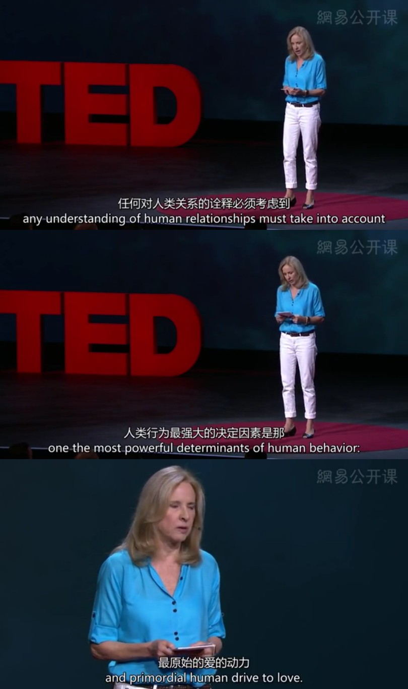 ted 