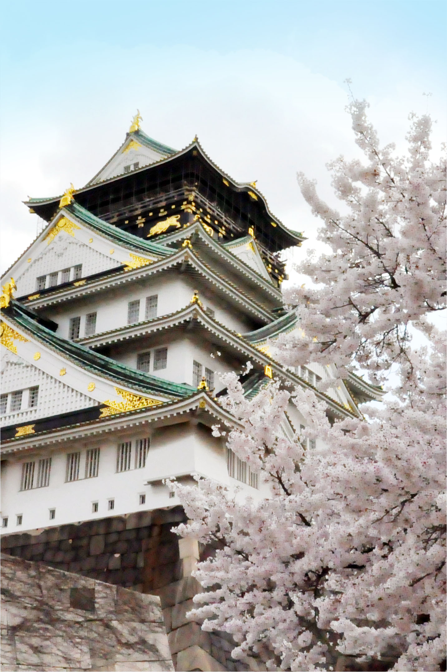 大阪!-堆糖,美好生活研究所