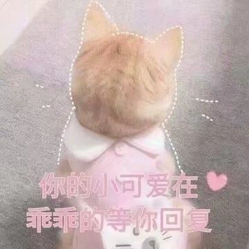 表情包敲可爱的表情包