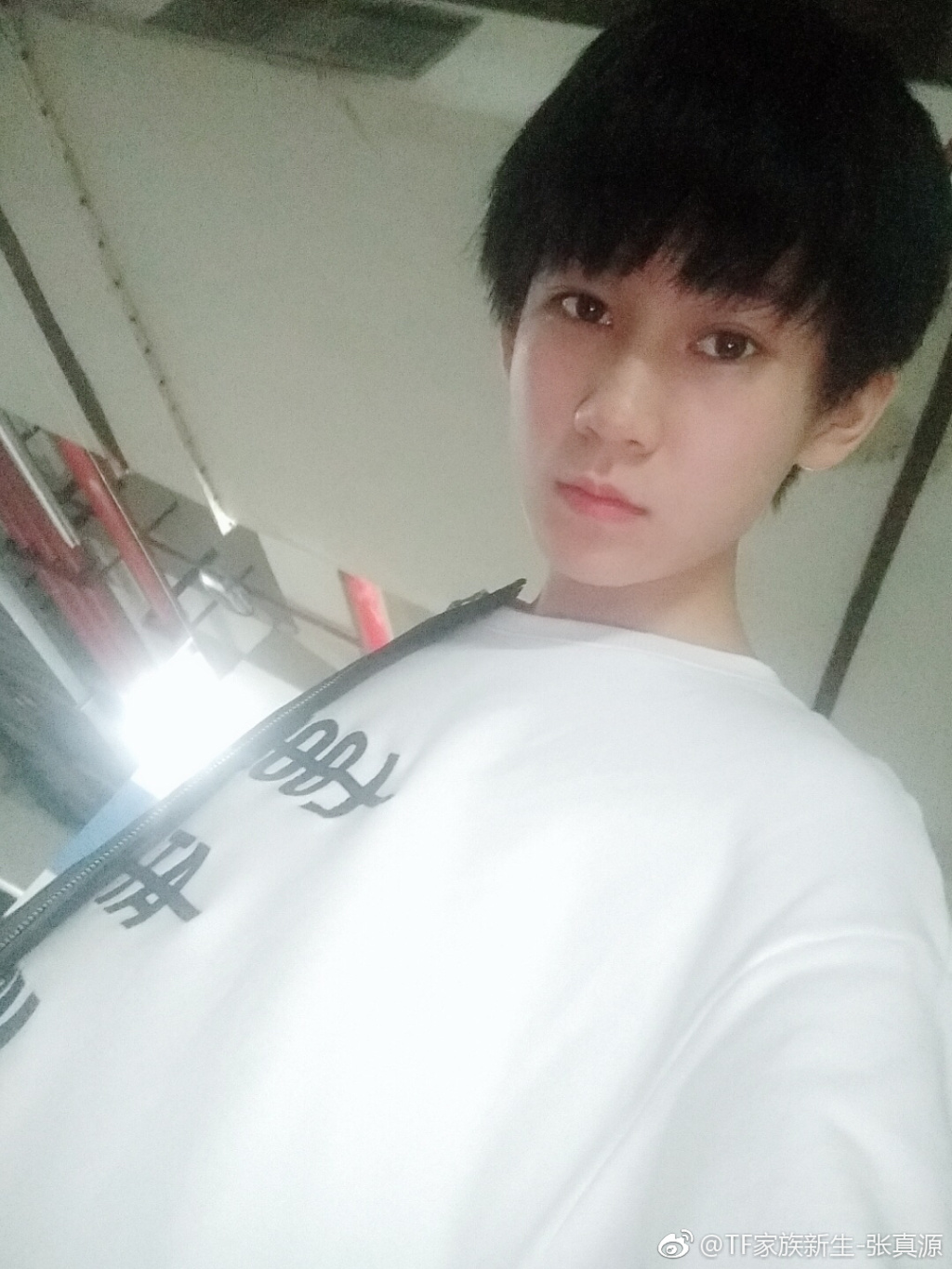 张真源