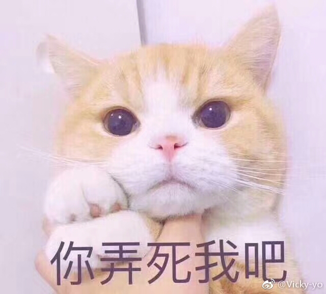 猫表情包可爱