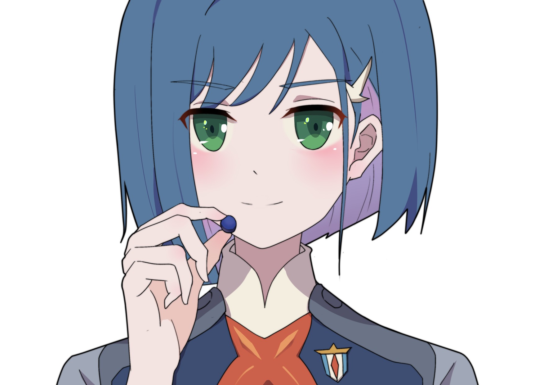 darling in the franxx 国家队