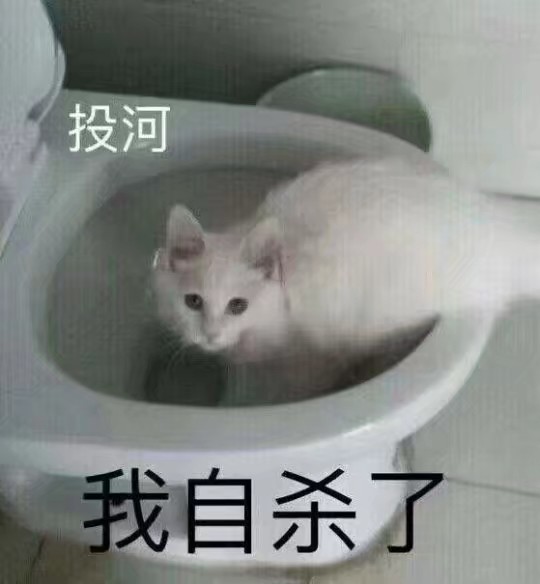 小少女表情/可爱图片/软萌仙女/表情…-早安的大全表情表情图片