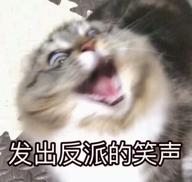 猫咪表情我来了搞笑图片图片