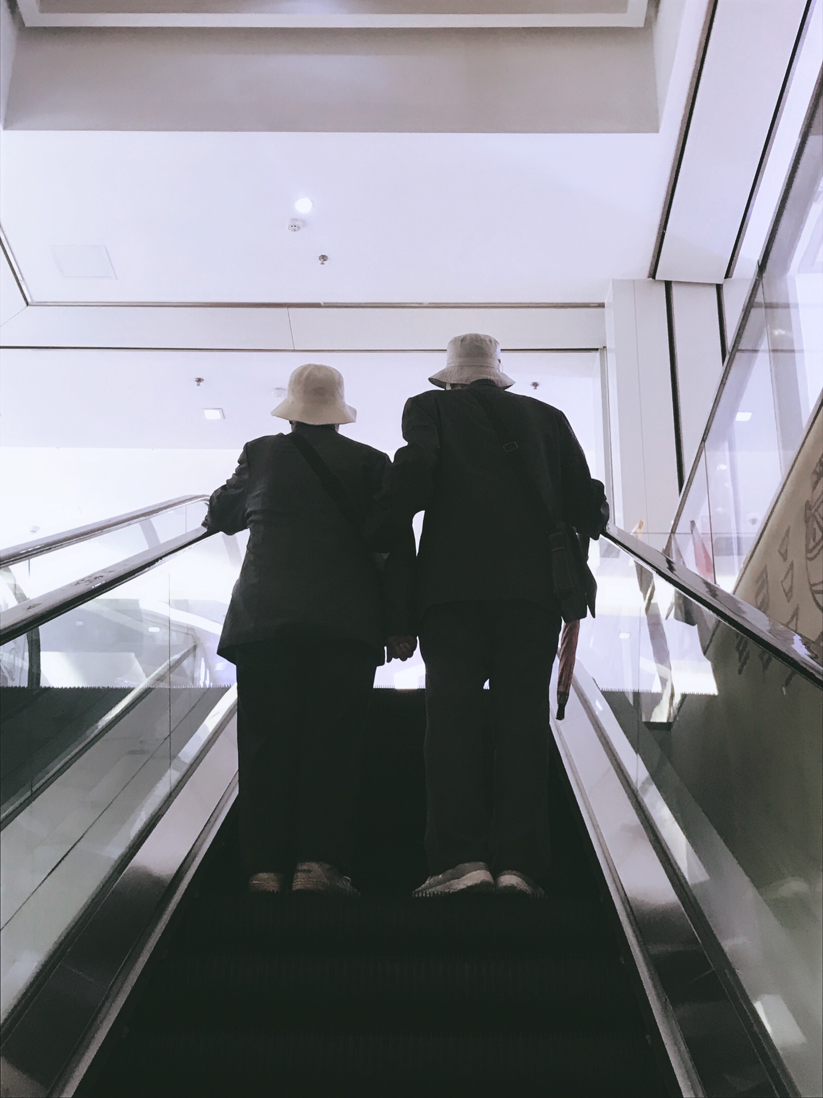 一起到老 爱情 一辈子