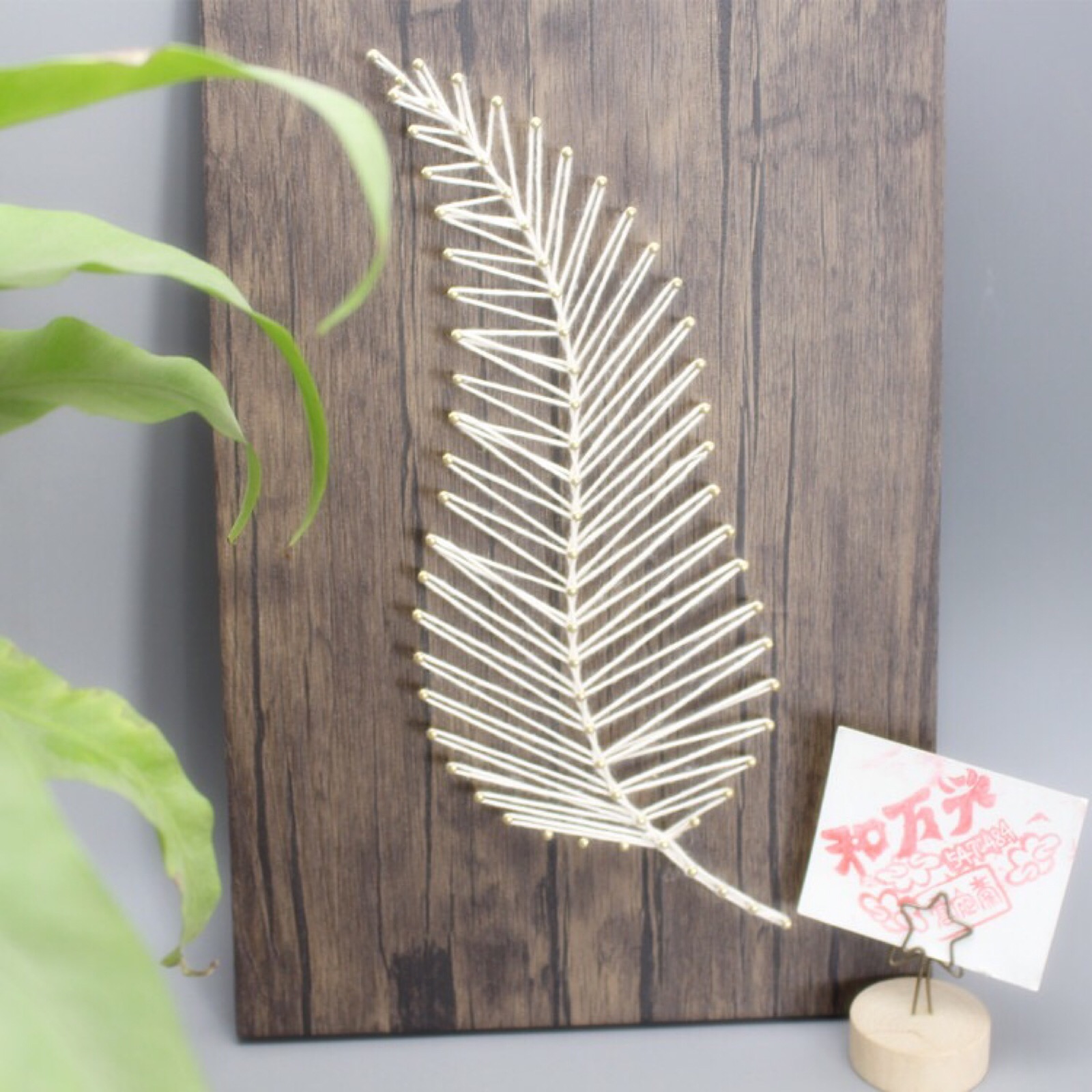 钉子绕线画—羽毛