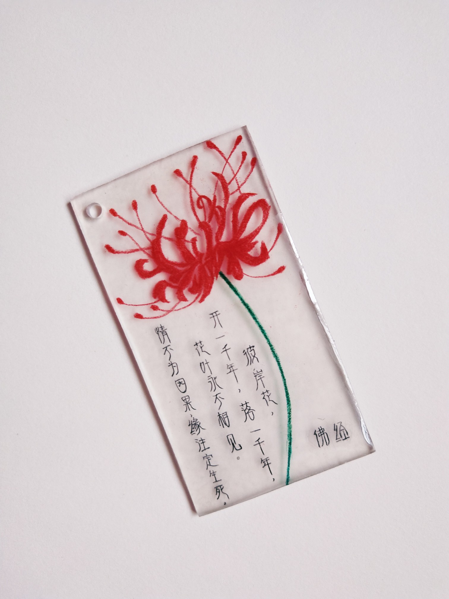 热缩片—彼岸花