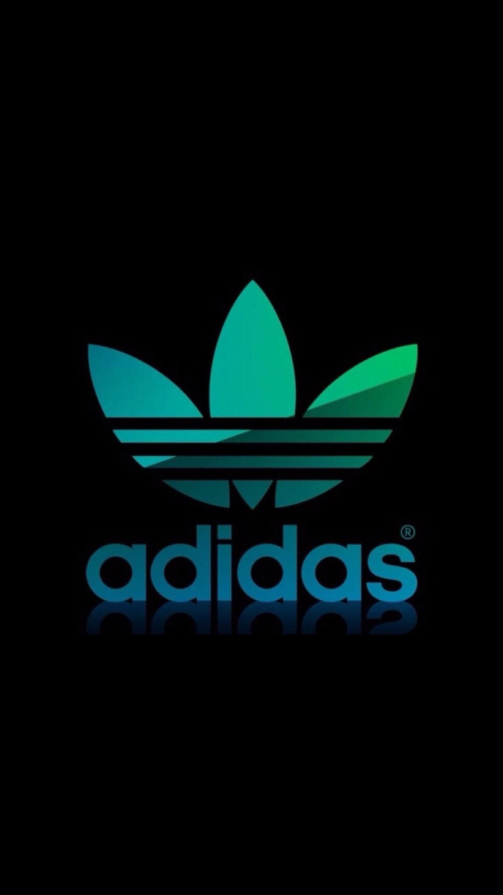 pidan|adidas