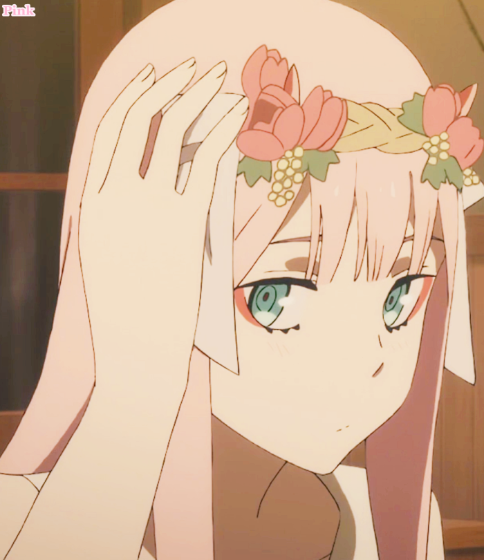 darling in the frankxx 国家队