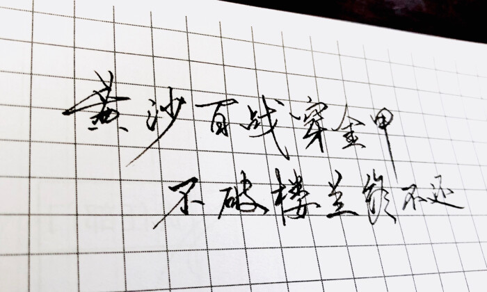 黄沙百战穿金甲,不破楼兰终不还