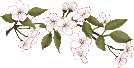 分割线花边png素材