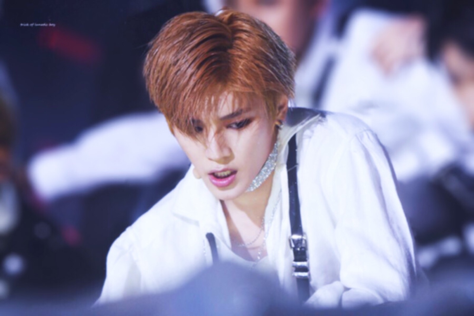 李泰容 