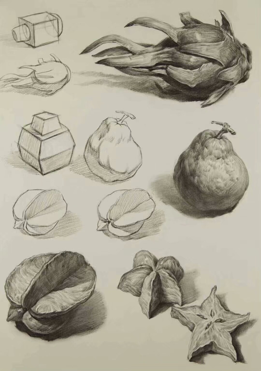 素描 单体静物