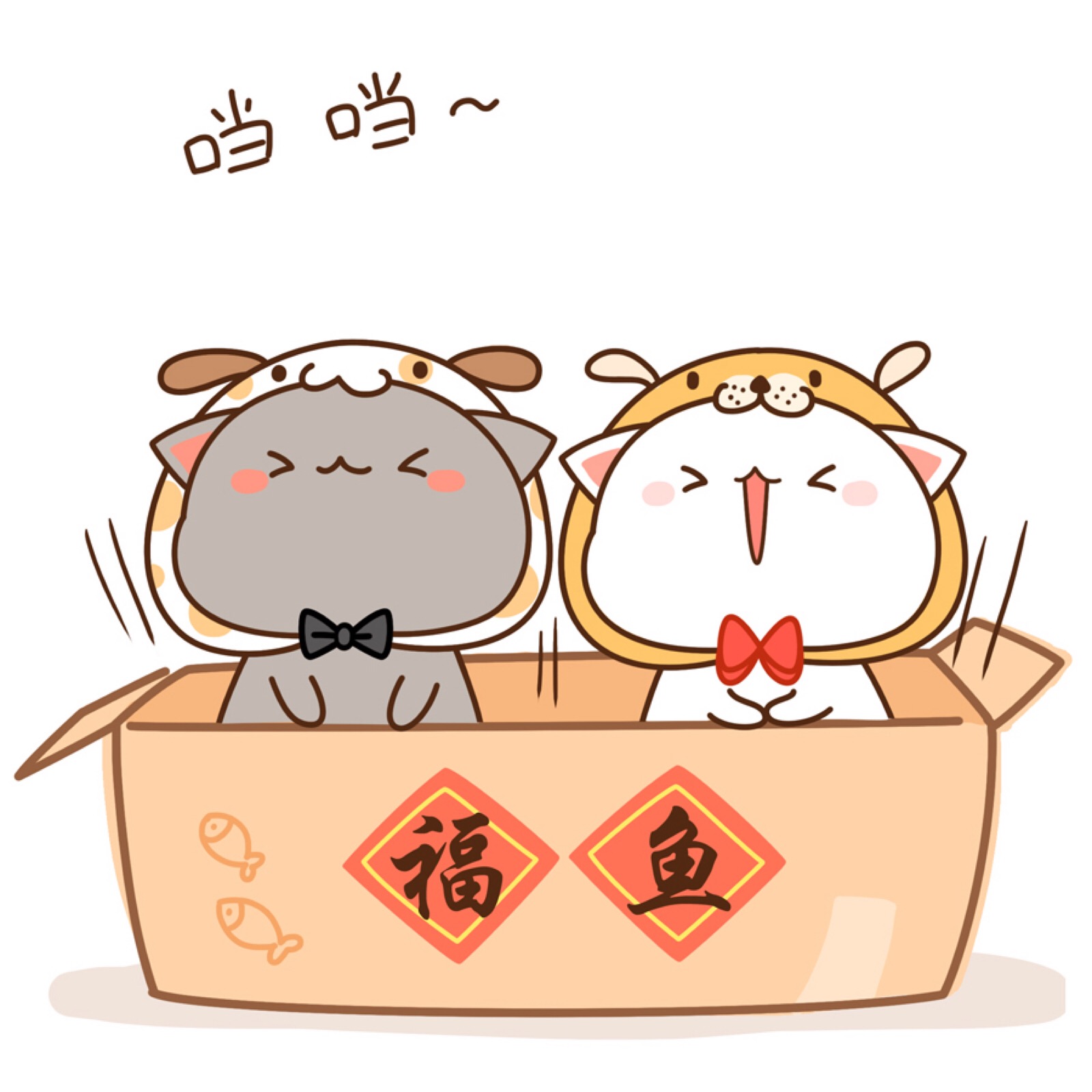 蜜桃猫#狗年喵喵喵#不觉晓晓