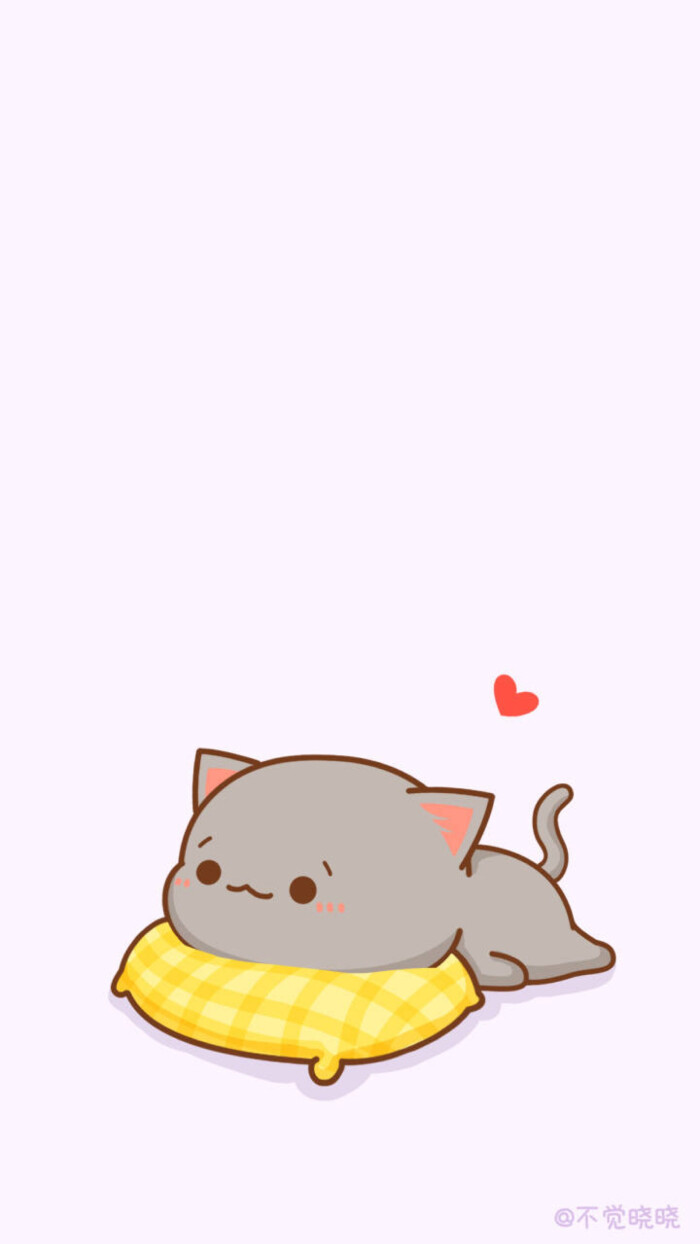 蜜桃猫#壁纸#不觉晓晓