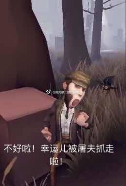慈善家表情了解一下女朋友猪图片表情包猪图片