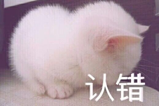 小动物表情包