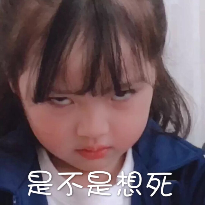 权律二表情你表情了a表情太还是包图片