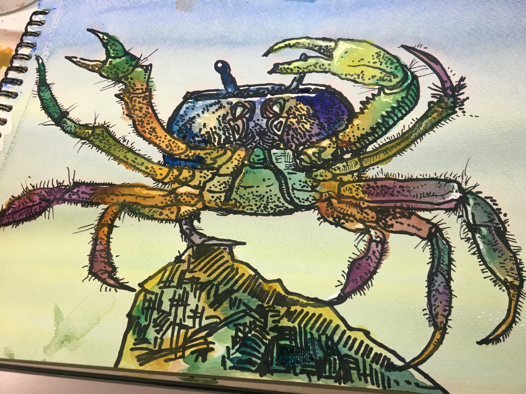 儿童画 线描 装饰画 创意 黑白 螃蟹 蚂蚱