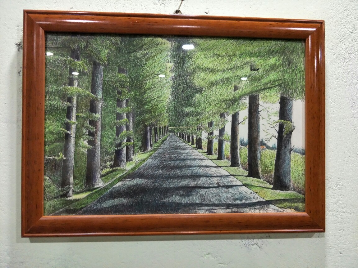 路边一排树的绘画图片