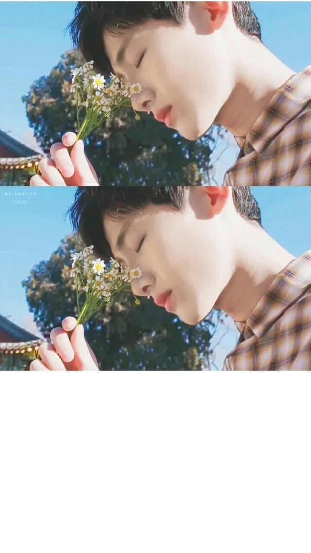 白敬亭