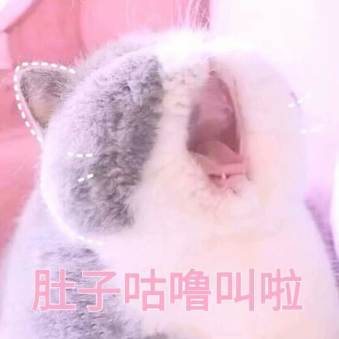 小可爱表情试卷我送表情包图片