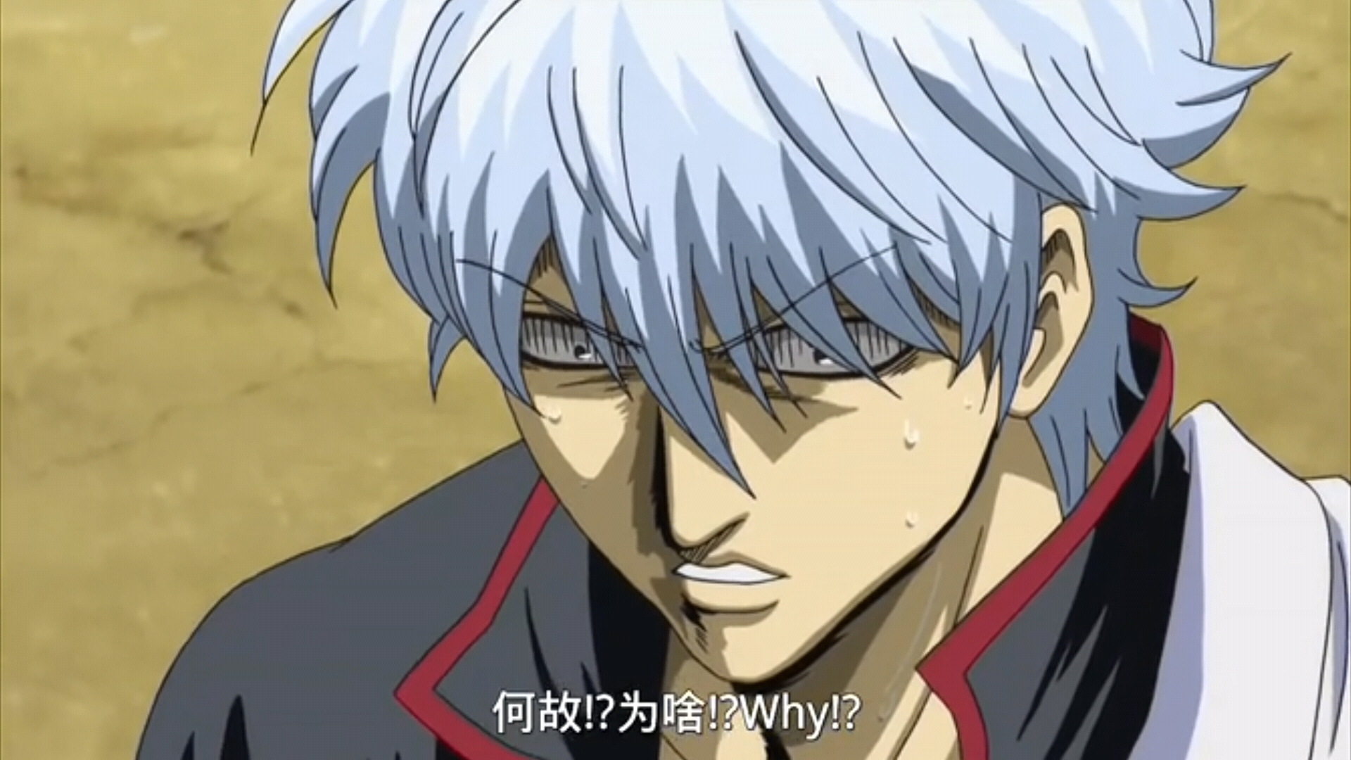 银魂 动画截屏 神乐 坂田银时 志村新八 志村妙 柳生九兵卫 高杉 假发