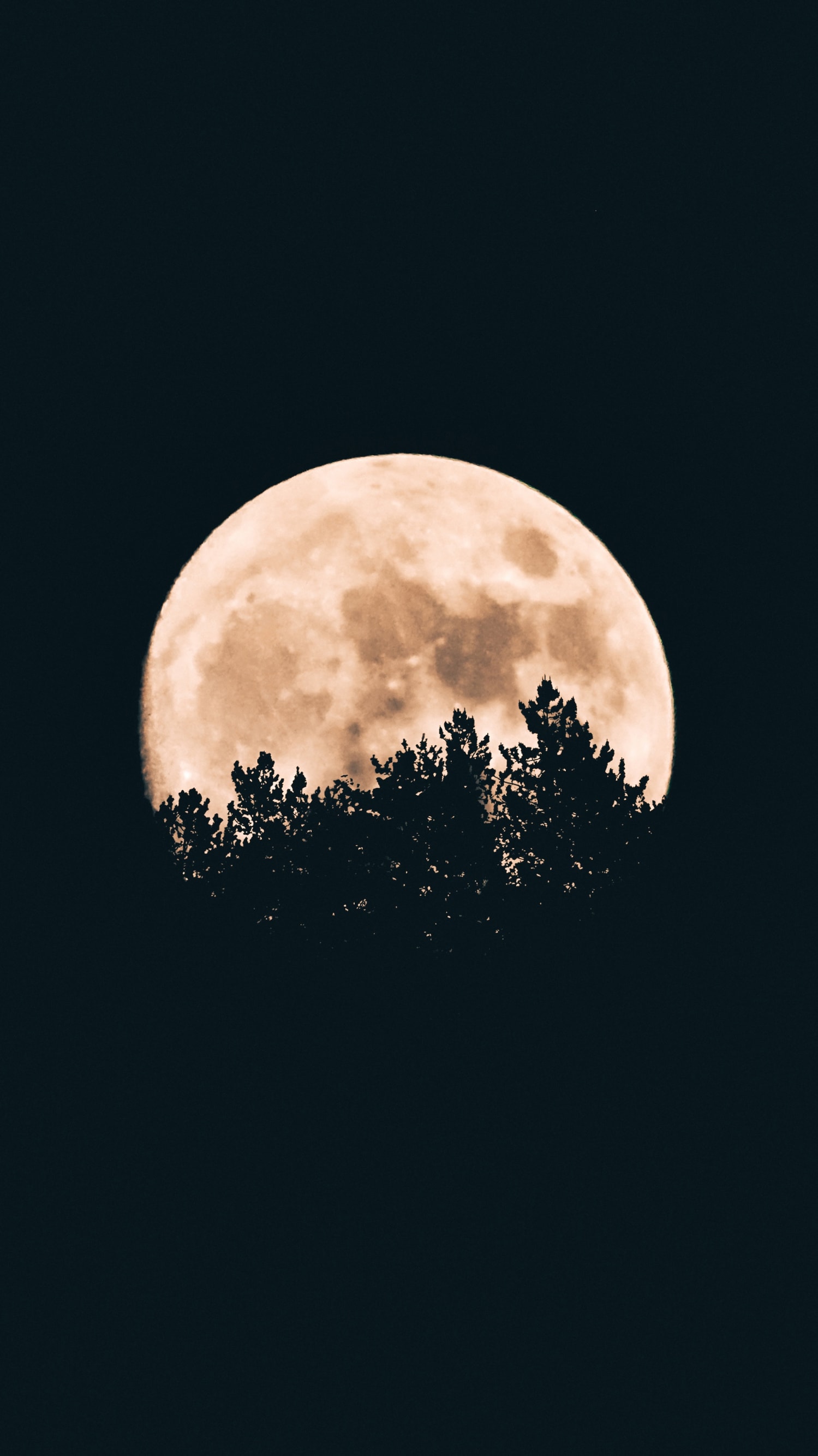 黑黑的夜色壁纸