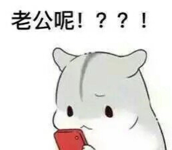 我不说话,我只发图「表情包」「可爱」「屌丝」「斗图」「杂」「猫」